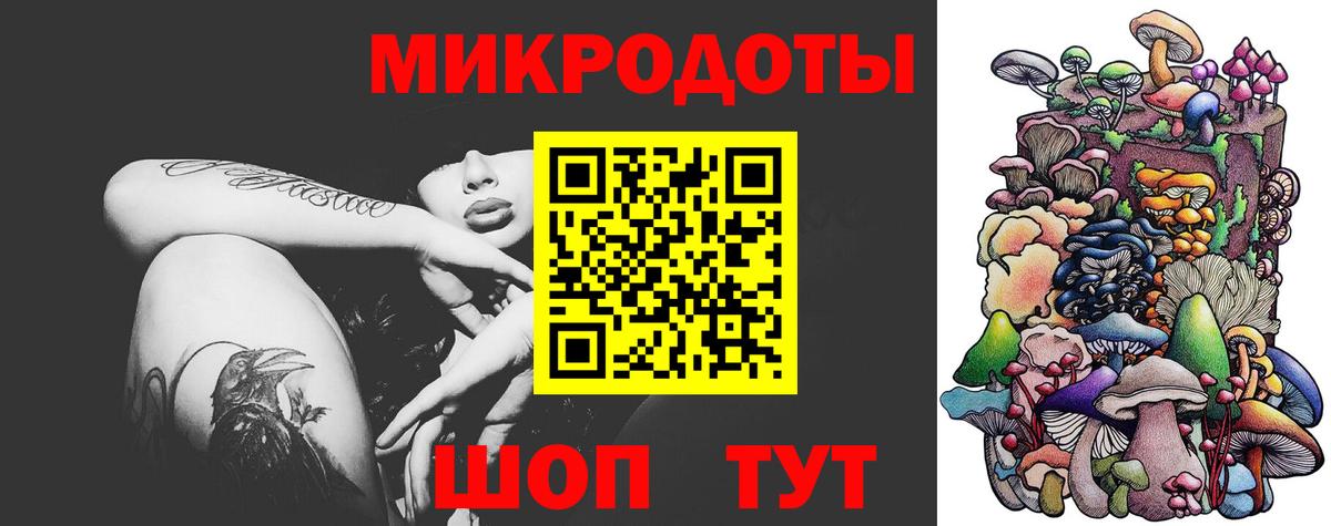 купить закладку  Галлюциногенные грибы Magic Shrooms  Вход с VPN  Псилоцибиновые грибы Psilocybe  Искитим 
