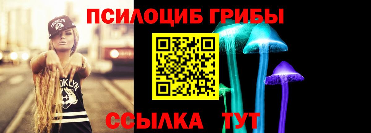 Галлюциногенные грибы Cubensis Искитим
